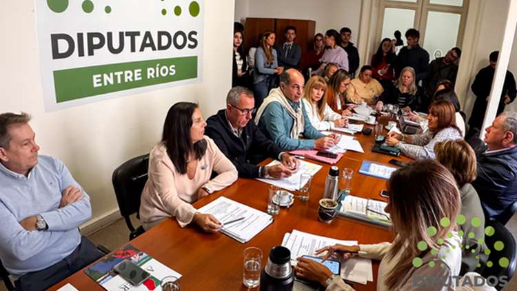 Diputados: trabajo en comisiones