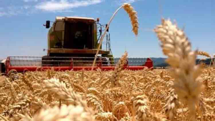Leve mejora en el semáforo de Coninagro: Tres economías regionales “subieron de escalón”