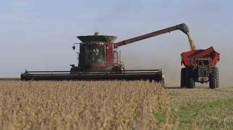 Alivio para el agro: flexibilizaron reglas para productores y exportadores