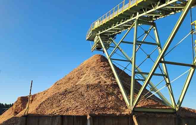 Fábrica de energía entre los bosques: convierten los residuos forestales en electricidad para abastecer al 20% de su provincia