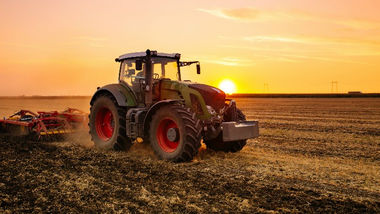 Números que duelen: Los valores de la tierra en el mercado inmobiliario rural argentino