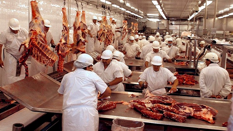 Frigoríficos: expectativa por acuerdo con EEUU, pero en alerta por faena “informal” que no cesa