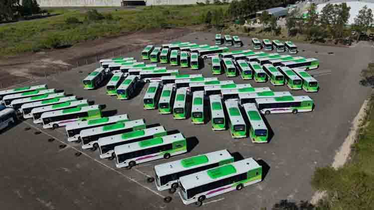 Paraná: la comuna presentó la flota 0 km del Nuevo Sistema de Transporte Urbano de Pasajeros