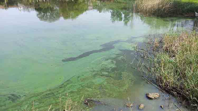 Entre Ríos ratificó su ingreso a “Mancomunidad Parque Ambiental del Gran Paraná”