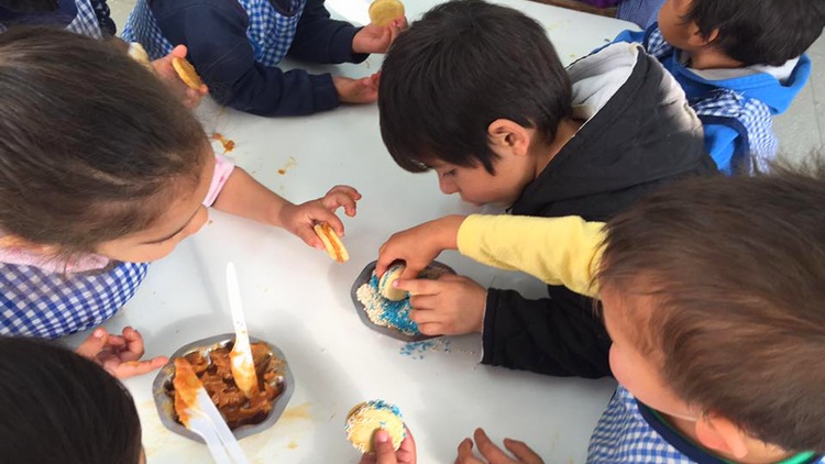 Proponen crear por ley Redes Intersectoriales Locales para fortalecer el rol de Copnaf