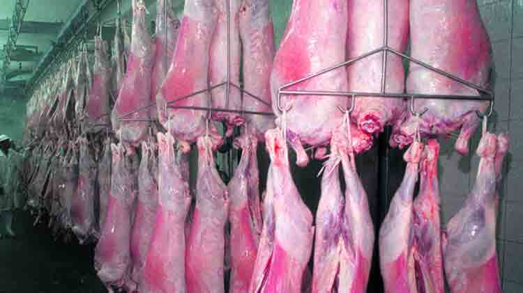 De Concordia y Gualeguay exportarán carne ovina hacia mercados árabes