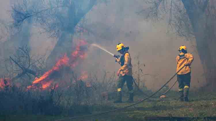 Entre Ríos refuerza el combate del fuego y envía brigadistas a la primera línea