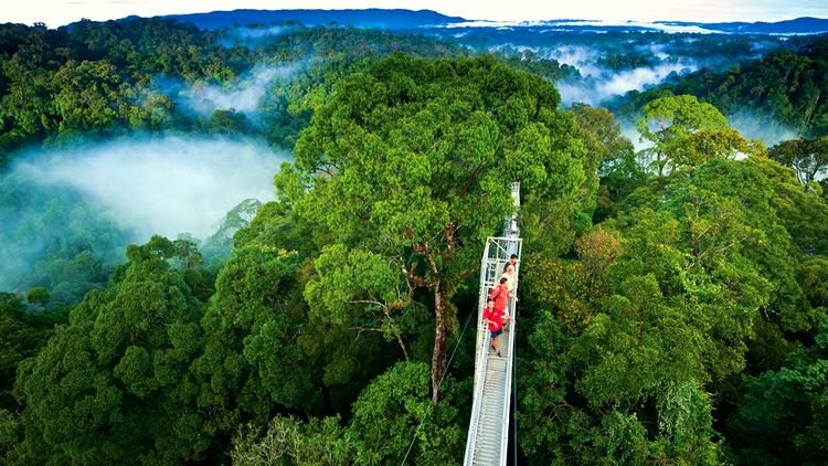 Bosque Nuboso de Monteverde - Costa Rica