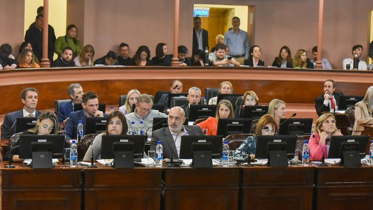 Presupuesto: Diputados peronistas criticaron el discurso de Frigerio