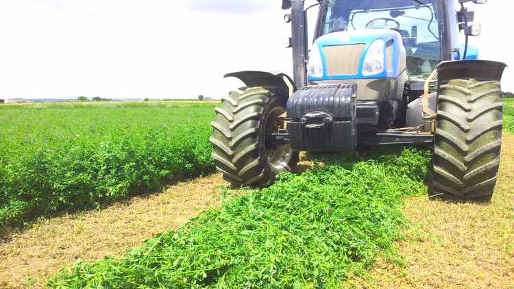 Dirigente de Federación Agraria indica que más del 60% de lo producido se va en impuestos