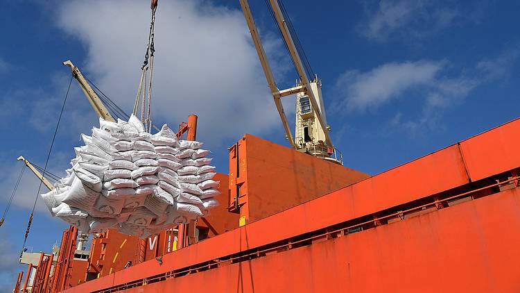 Modifican el Código Aduanero: qué cambia para importadores y exportadores desde hoy