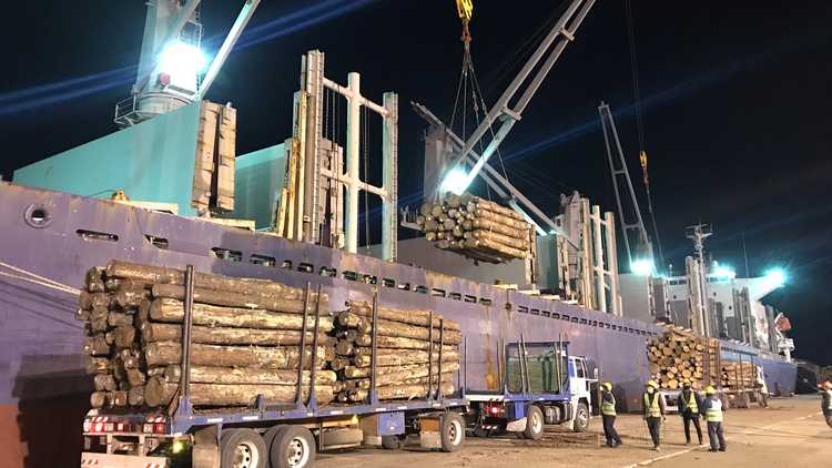 El gobierno entrerriano anunció que las exportaciones crecieron un 47% en un año