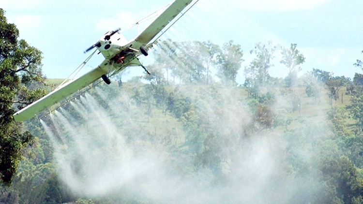 Agrotóxicos: el lobby sojero presiona a la Justicia para reducir las distancias de fumigación