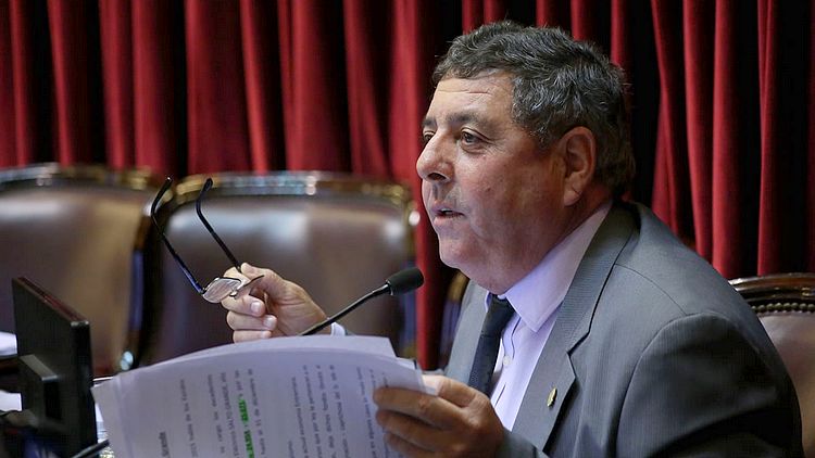 Alfredo De Ángeli, senador nacional del PRO