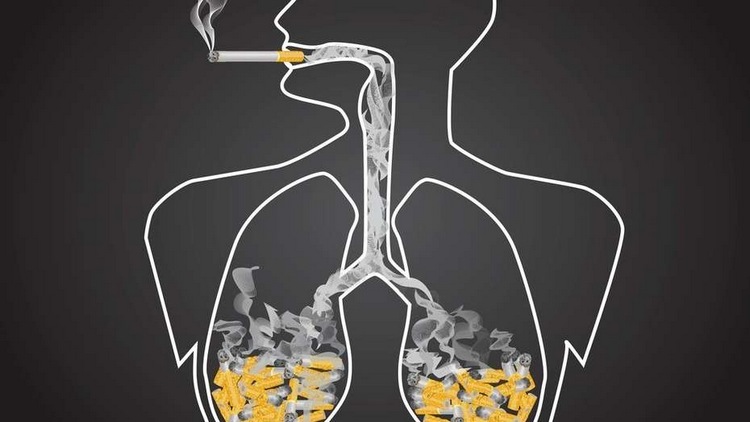Entre las 2 semanas y los 3 meses de dejar de fumar, mejora la circulación y la función pulmonar.